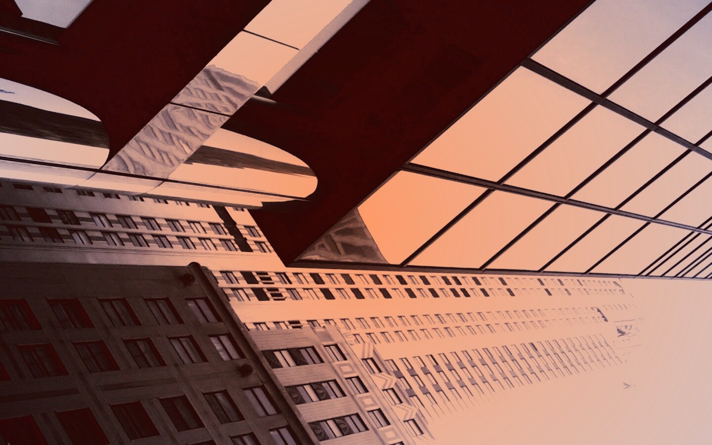 Взгляд вверх обои