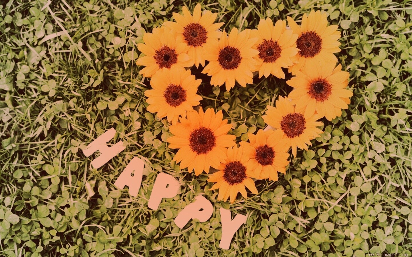 Радость обои