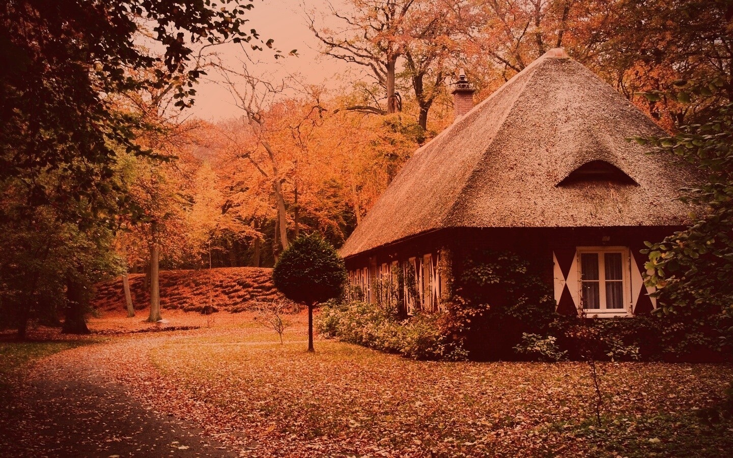 Домик в осеннем лесу обои