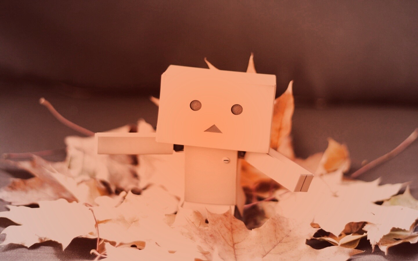  Yotsubato Danbo резвится листьях обои