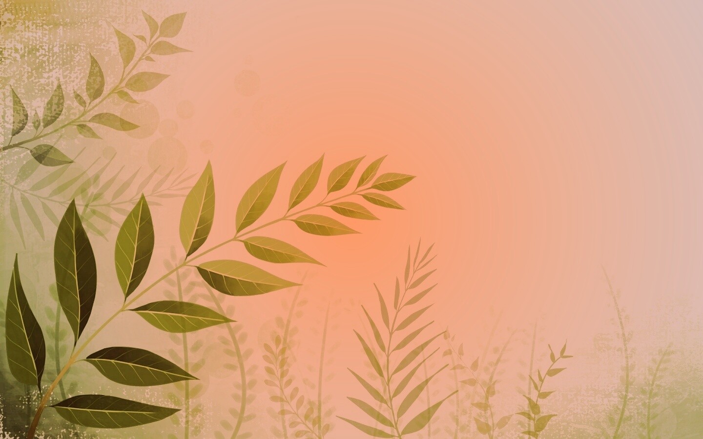 Веточка молодых листьев обои