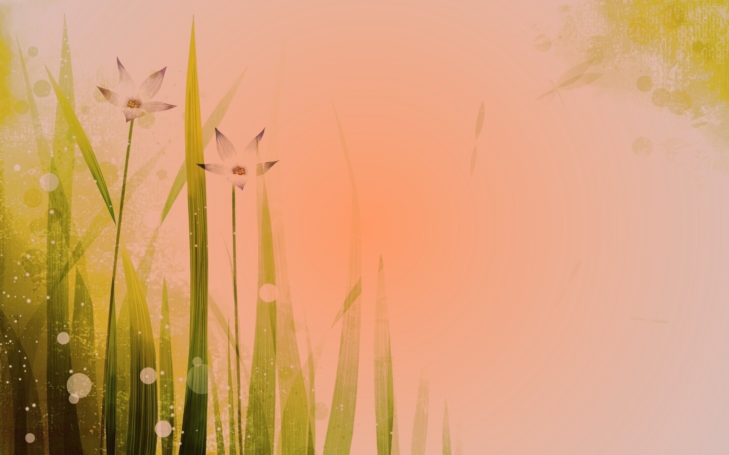 Векторные цветы обои