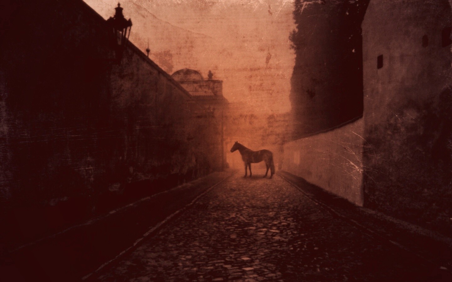 Лошадь в тумане обои