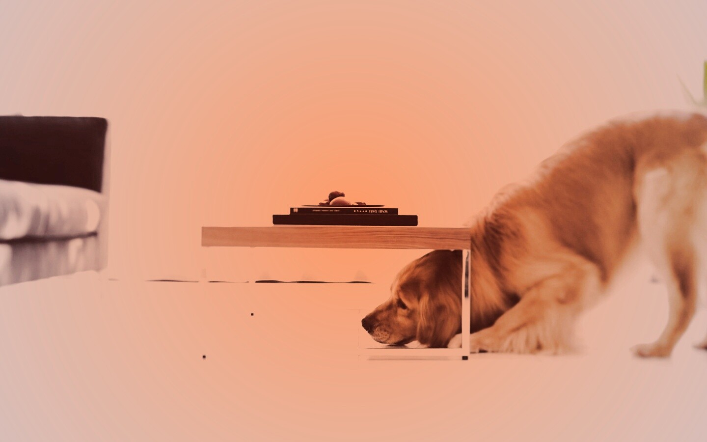 Большая собака под маленький столик обои