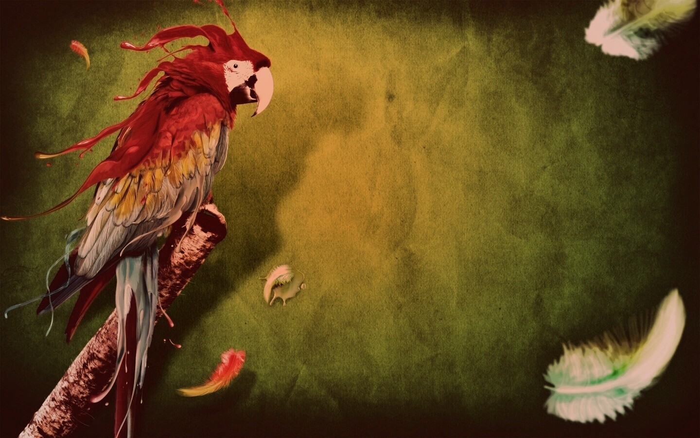 Попугай на ветке обои