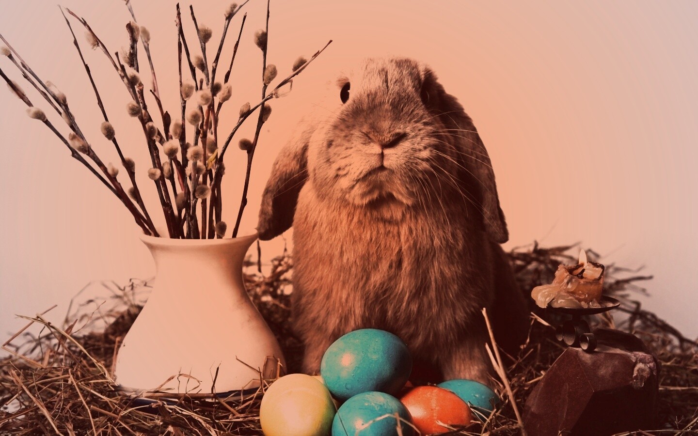 Пасхальный кролик обои