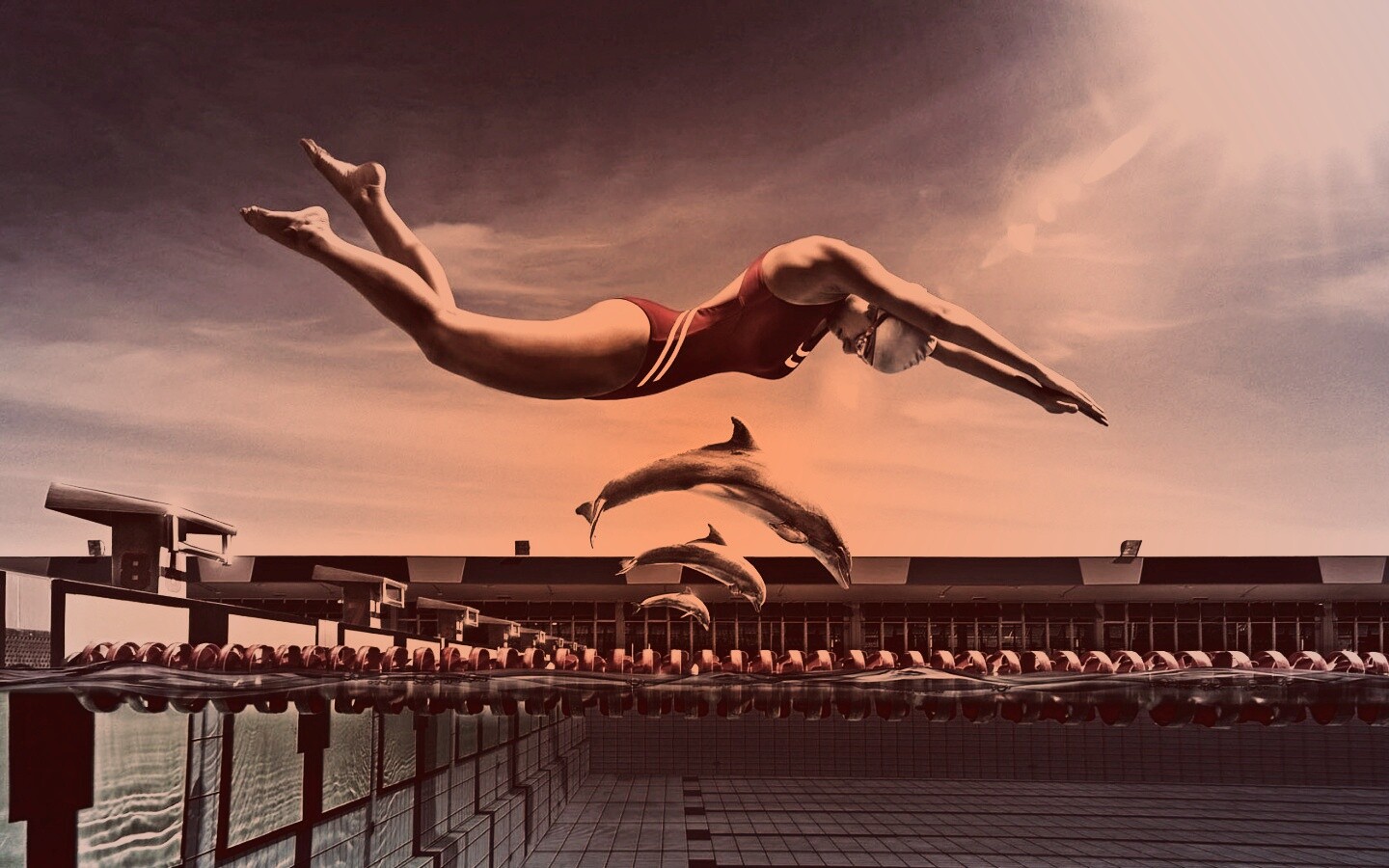 Соревнование обои