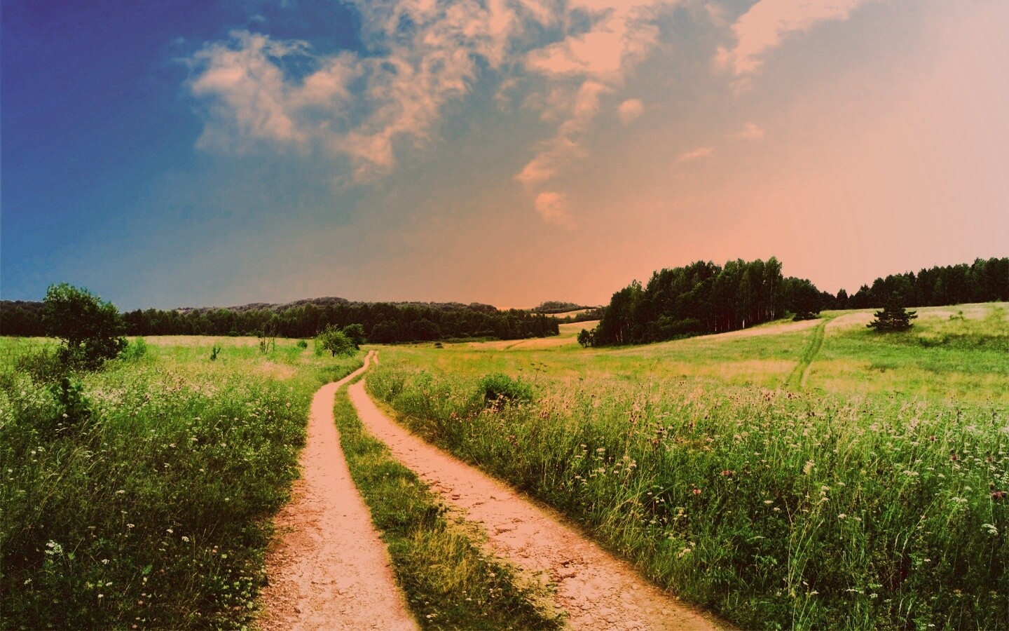 Дорога через луг обои