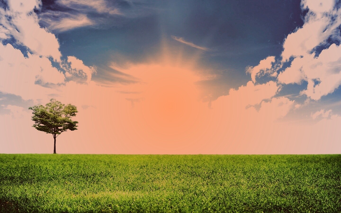 Один в целом мире обои