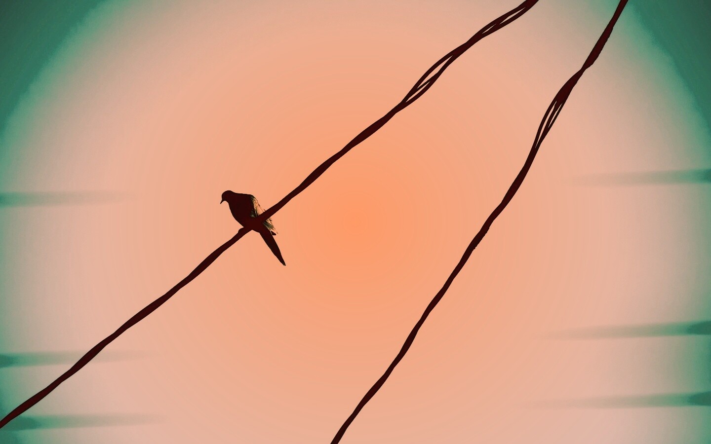 Птица на проводе обои