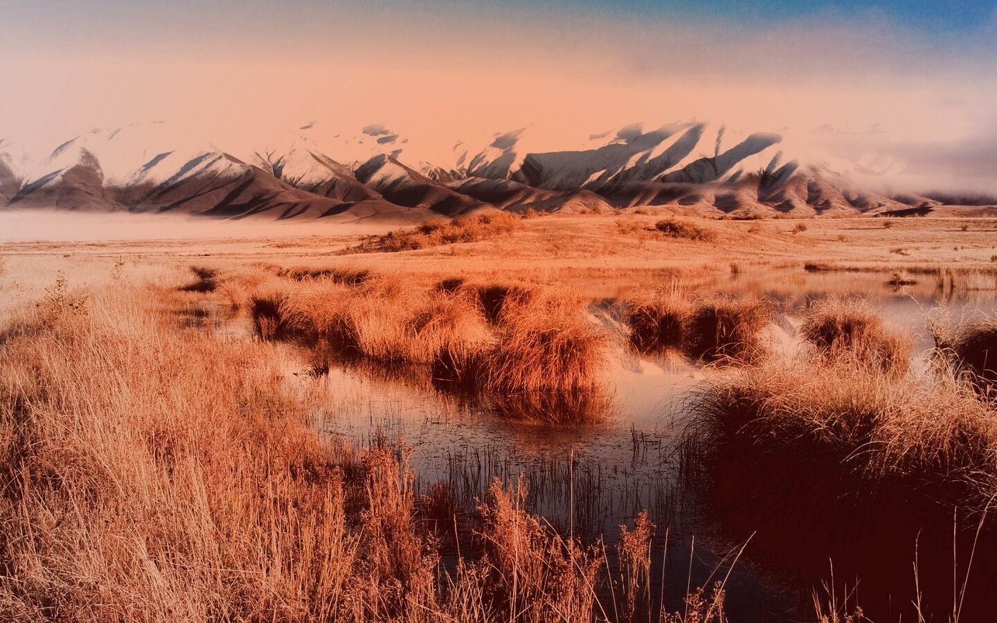 Болото и снежные горы обои