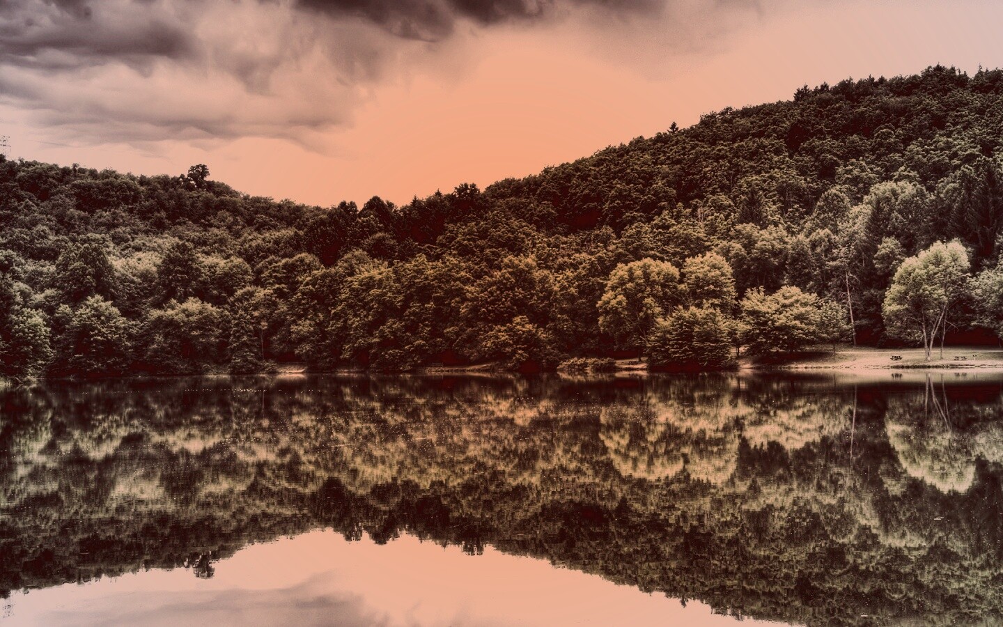 Лесной берег обои