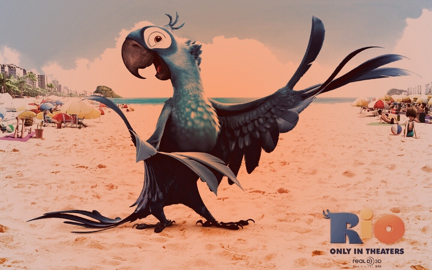 Blu из Rio обои