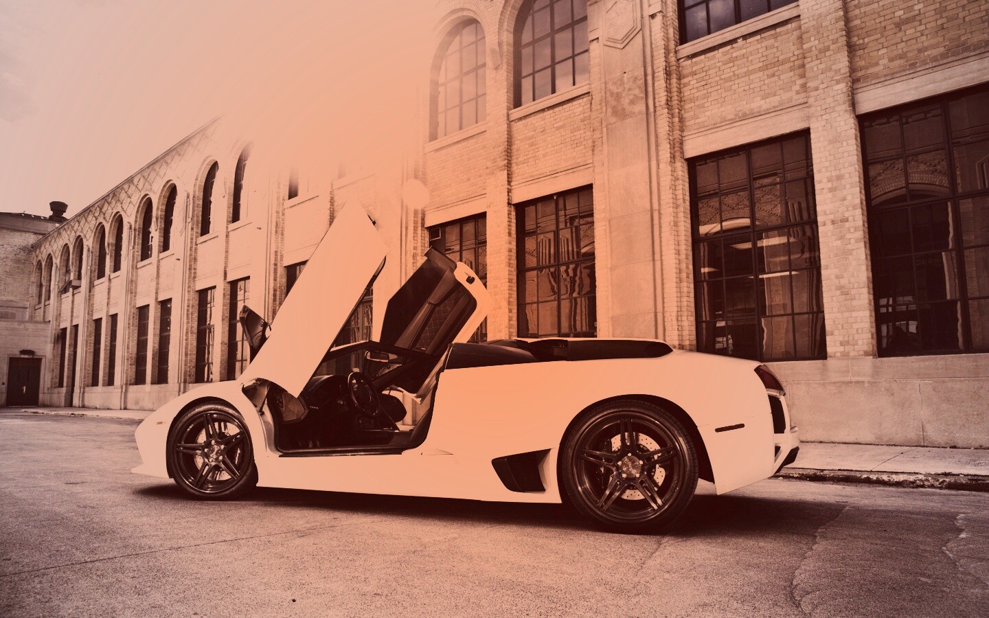 Белая Ламборгини Мурсьелаго обои