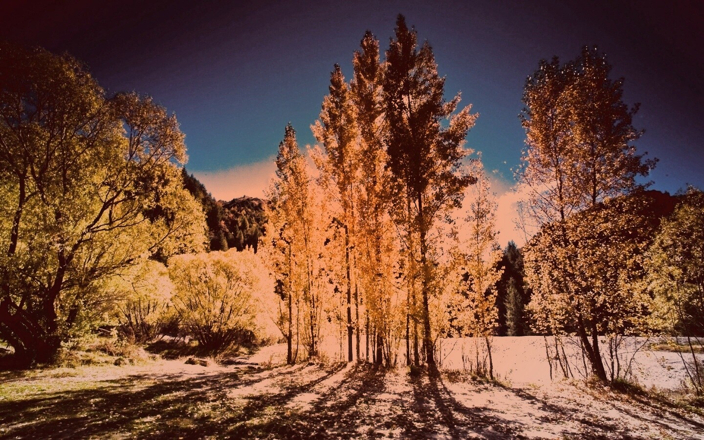 Осень в Новой Зеландии обои