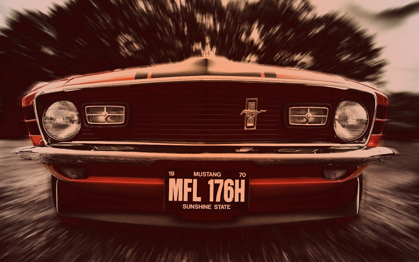 Мустанг обои