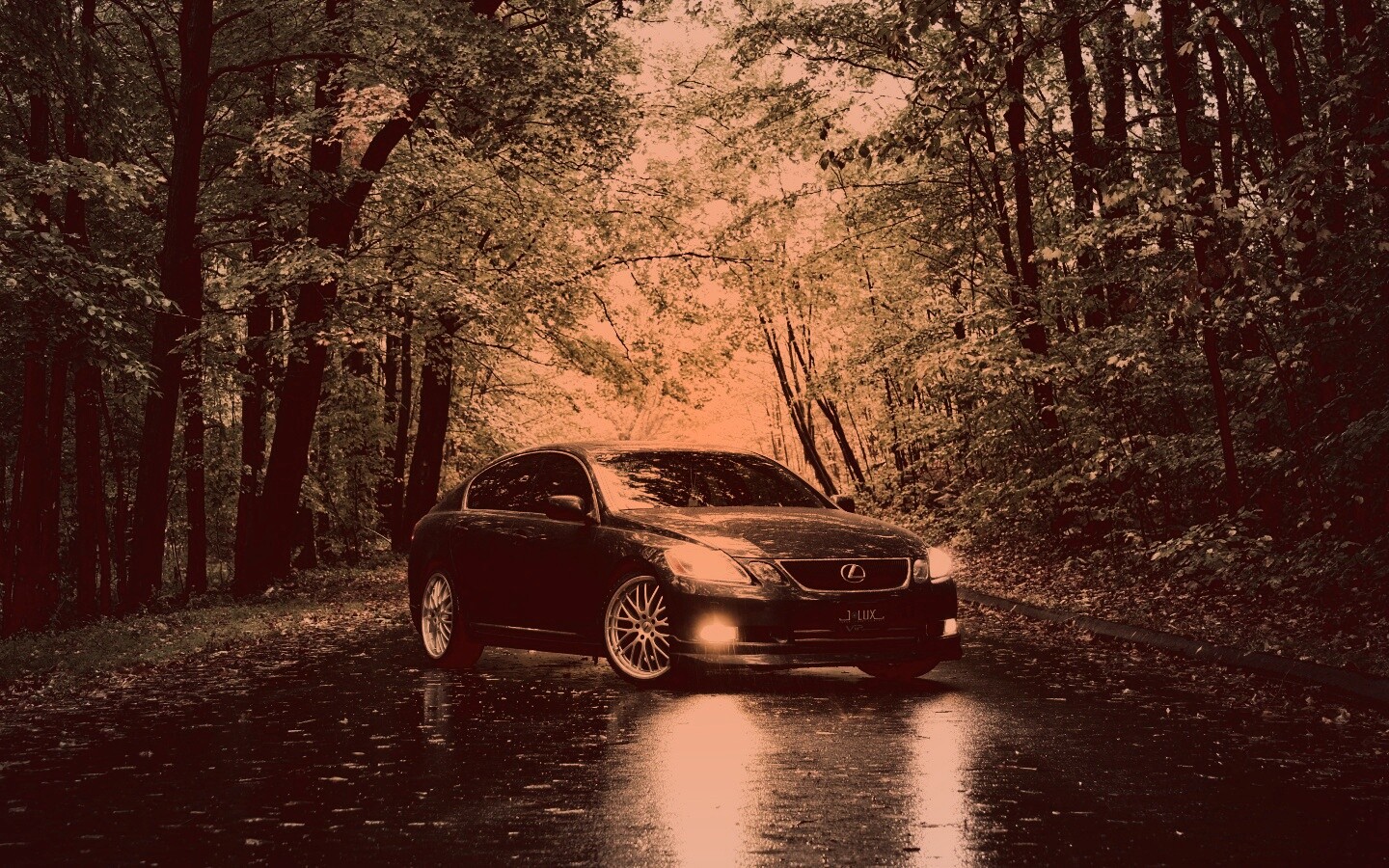 Лексус на лесной дороге обои