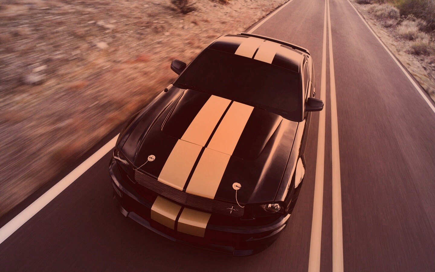 Ford Mustang  с гоночными полосками обои