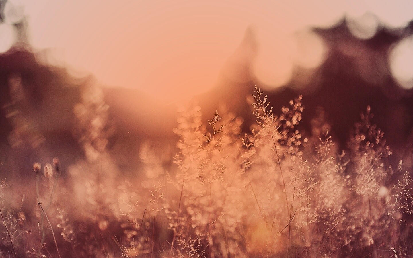 Посмотри на этот мир обои