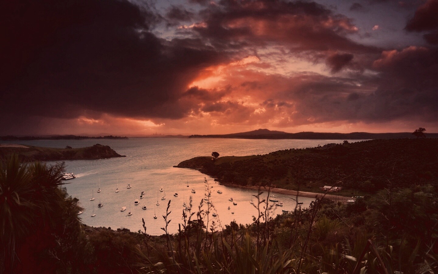 Waiheke Island, New Zealand обои