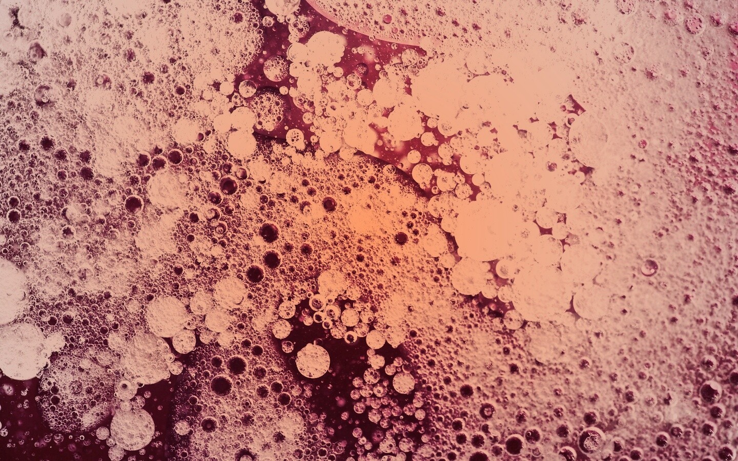 Реакция Вассермана в фиолетовых тонах обои