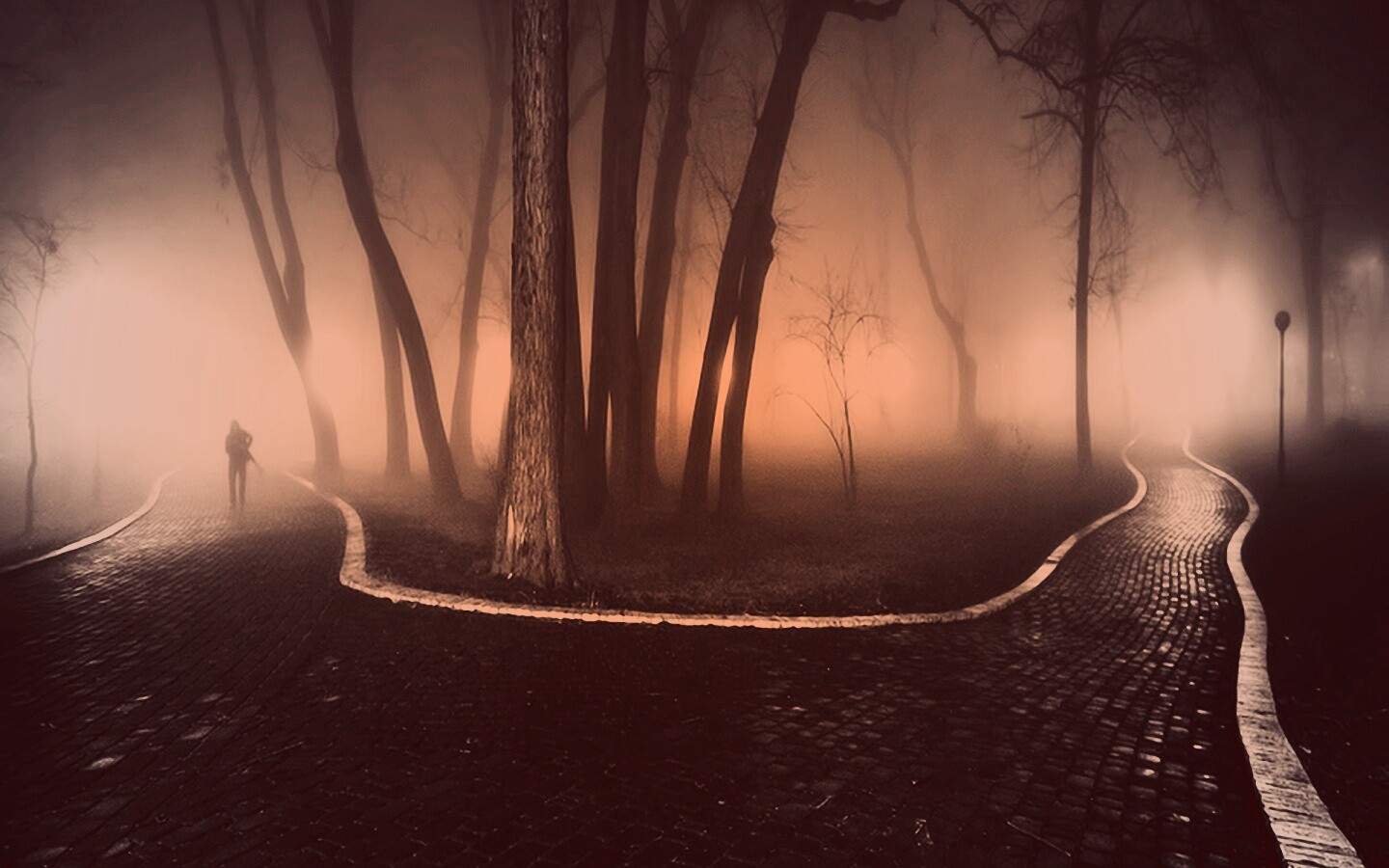 Пустынный лабиринт парковых дорожек обои