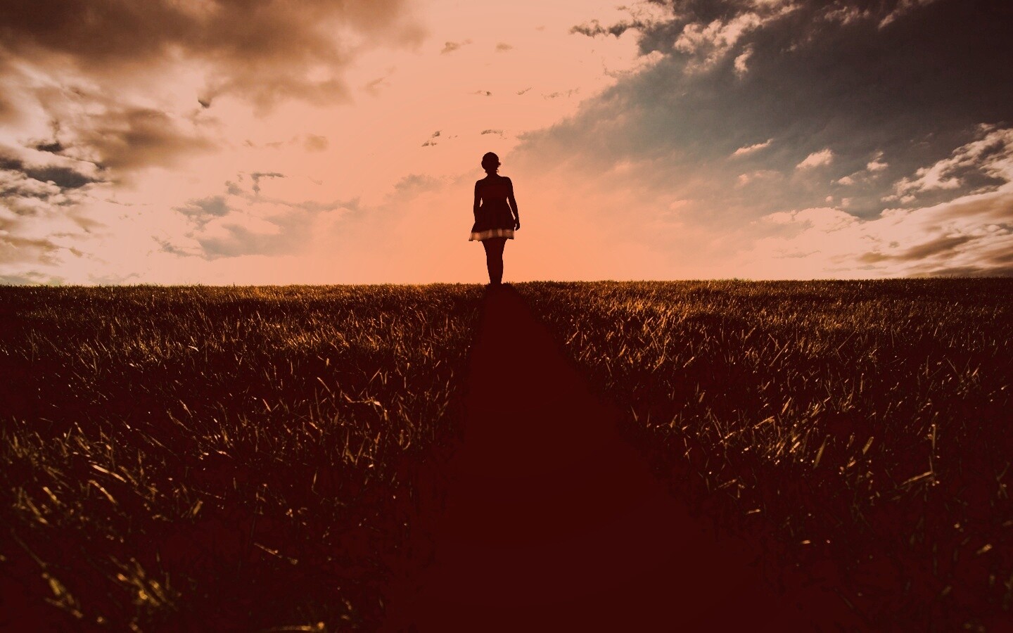 Силуэт девочки на поле обои