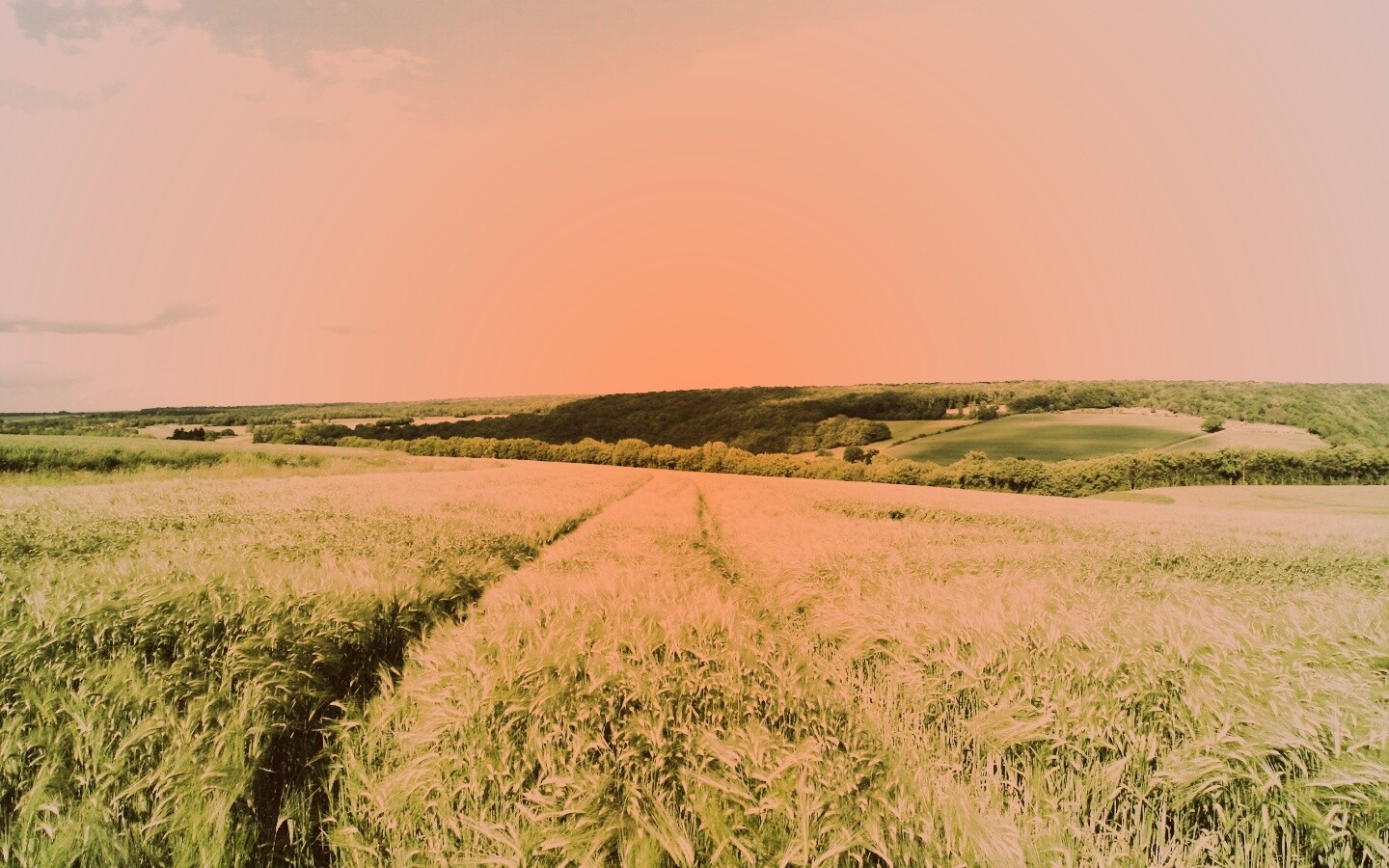 Бескрайние просторы обои