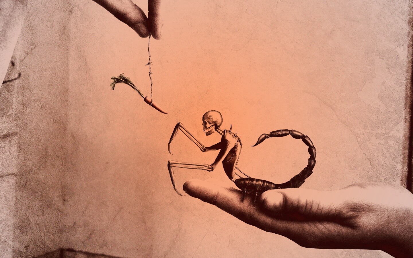 Кормёжка смерти обои