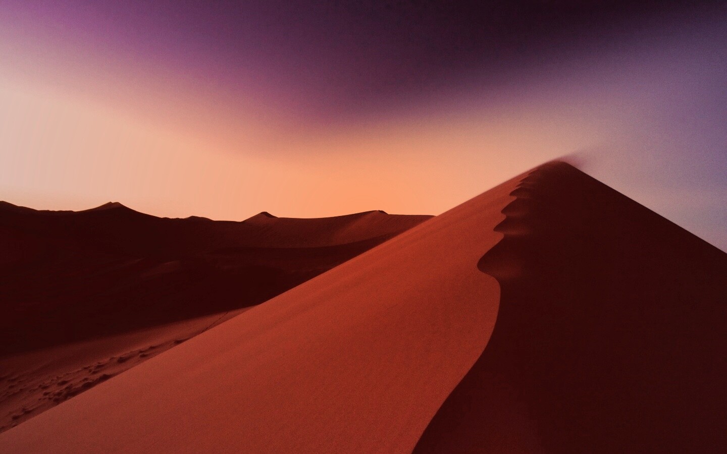 Люны в Намибии обои