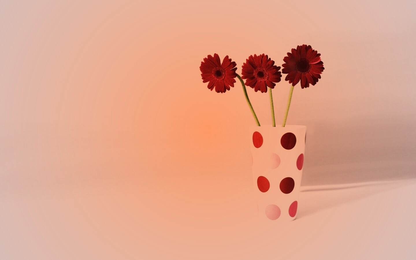 Вазочка с тремя красными герберами обои