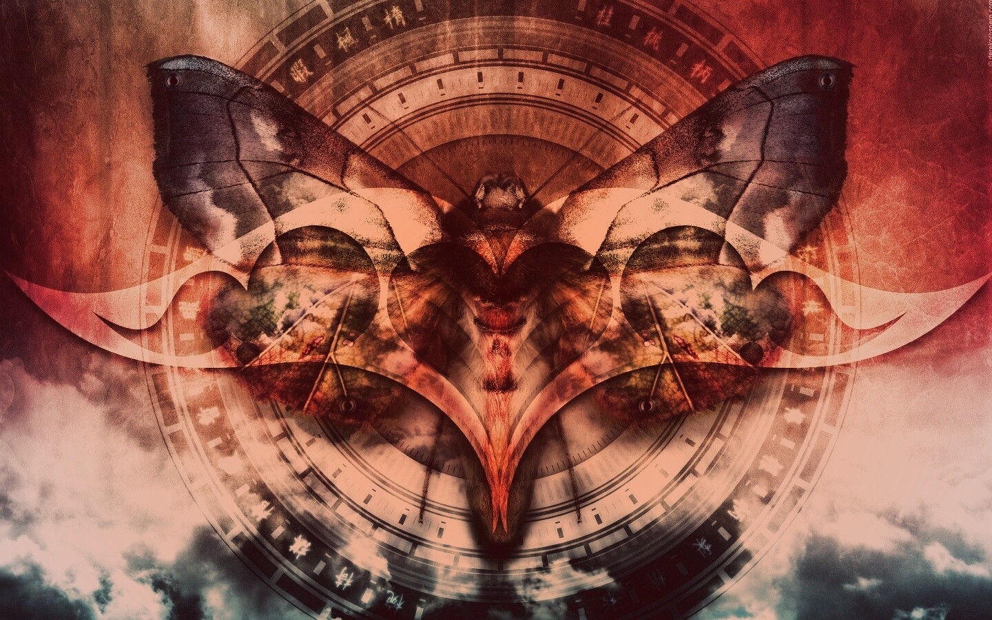 Красивая фэнтезийная бабочка обои