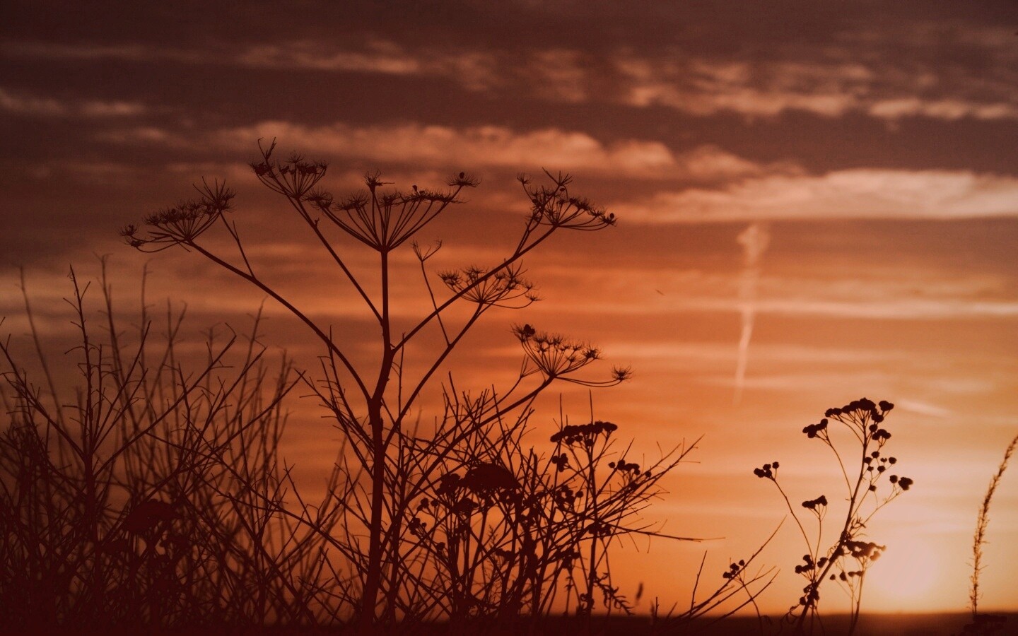 Степной закат обои