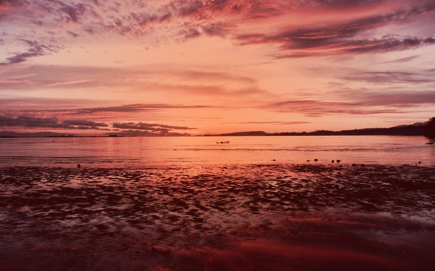 Прекрасный рассвет обои