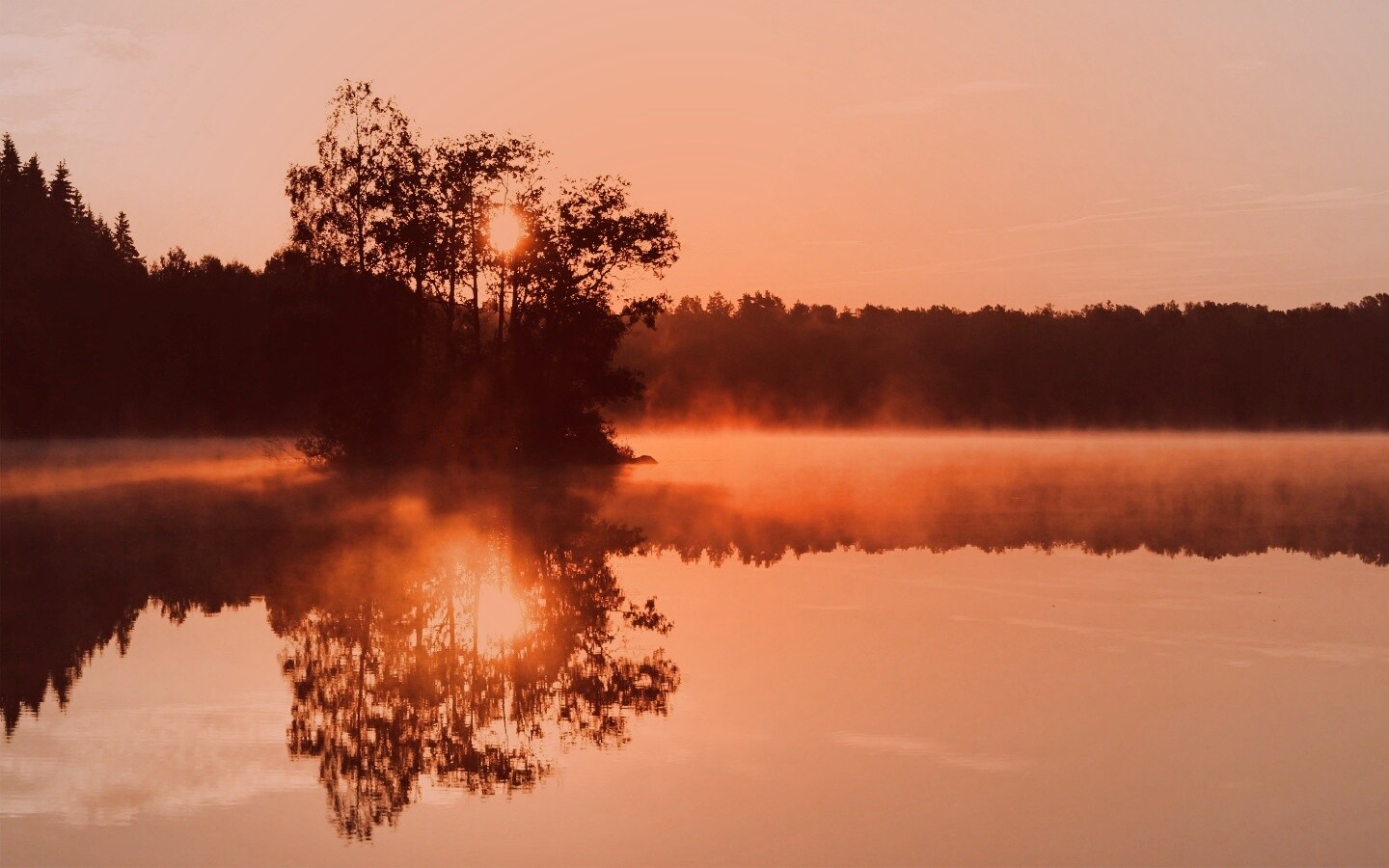 Туманное утро обои
