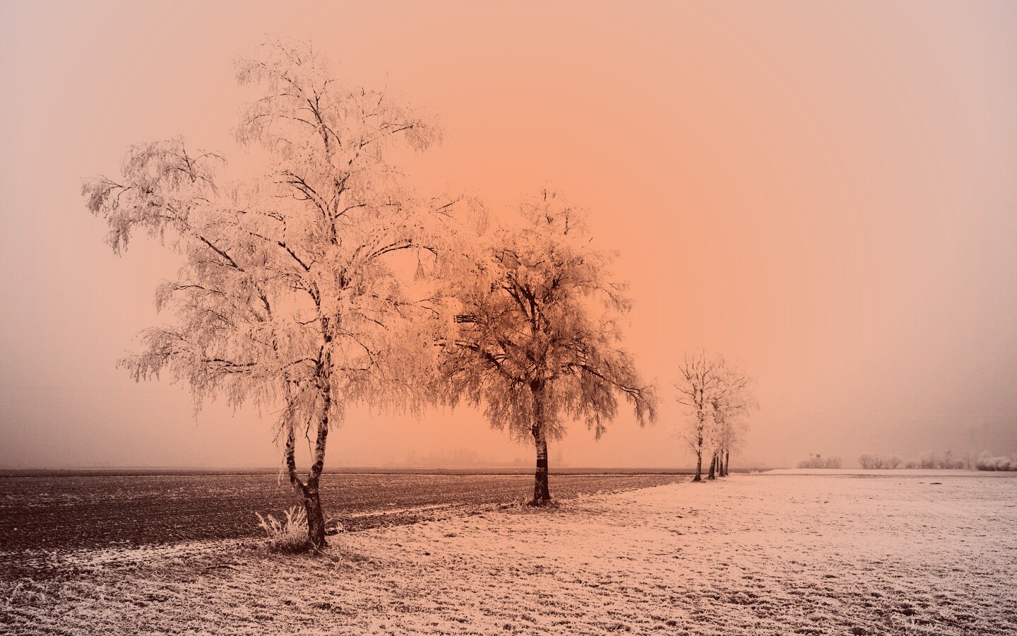 Первый снег обои