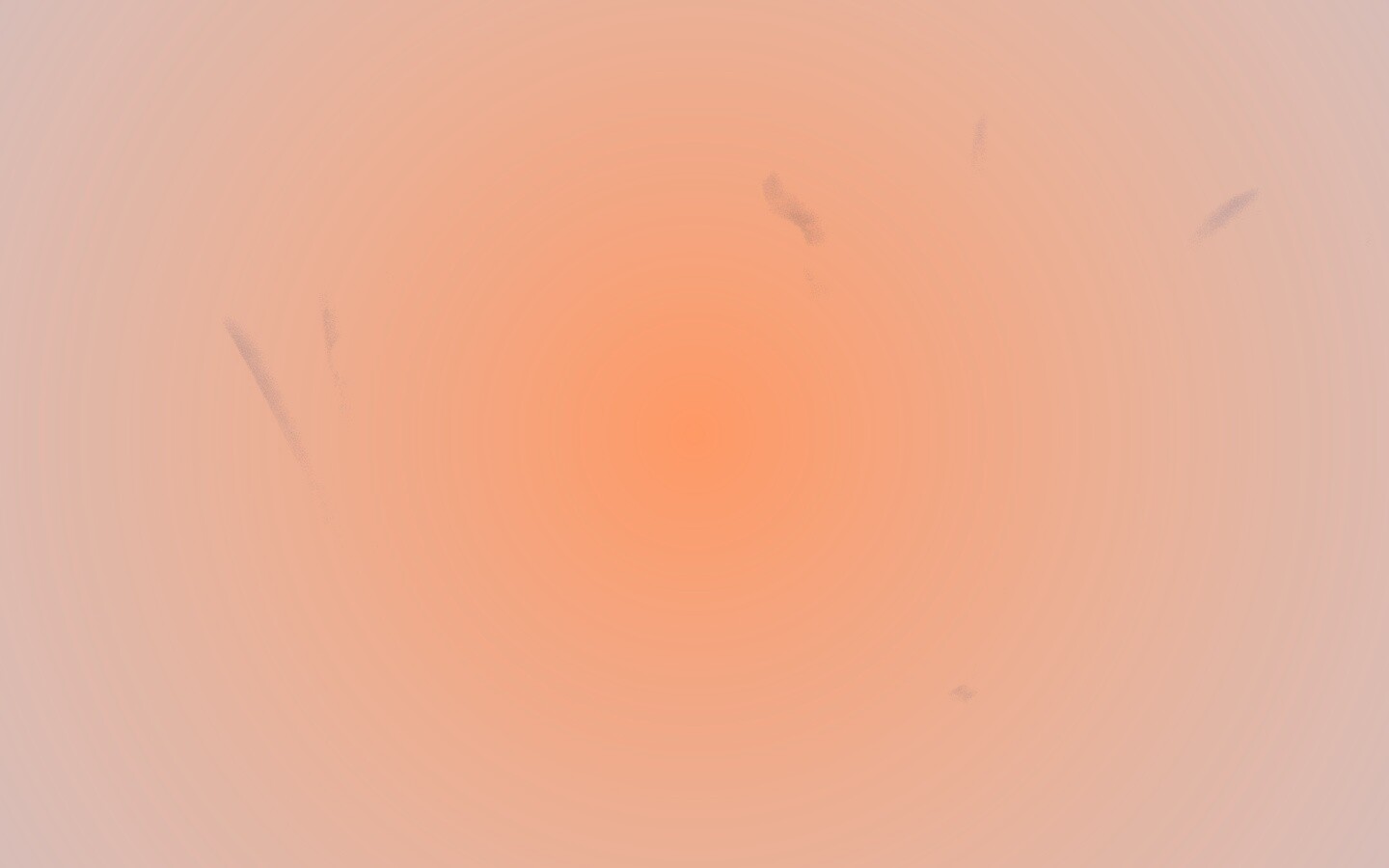 Белые лепестки обои