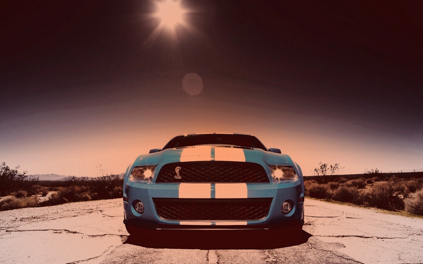 Форд Шелби обои