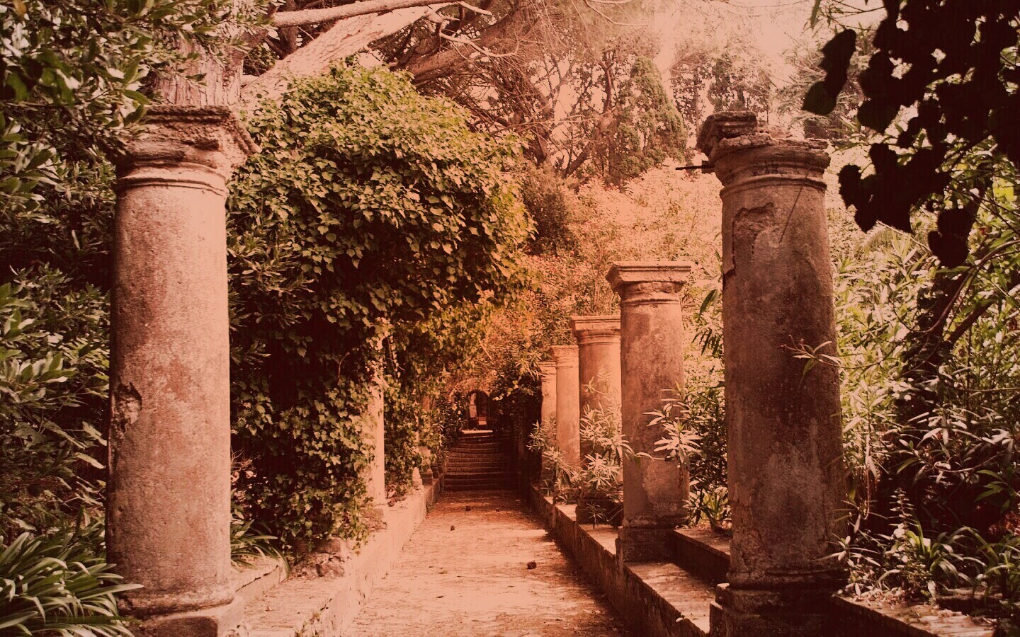 Галерея зимнего сада обои