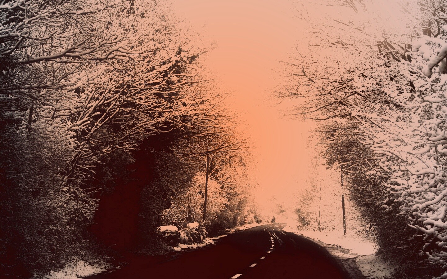 Дорога через зимний лес обои