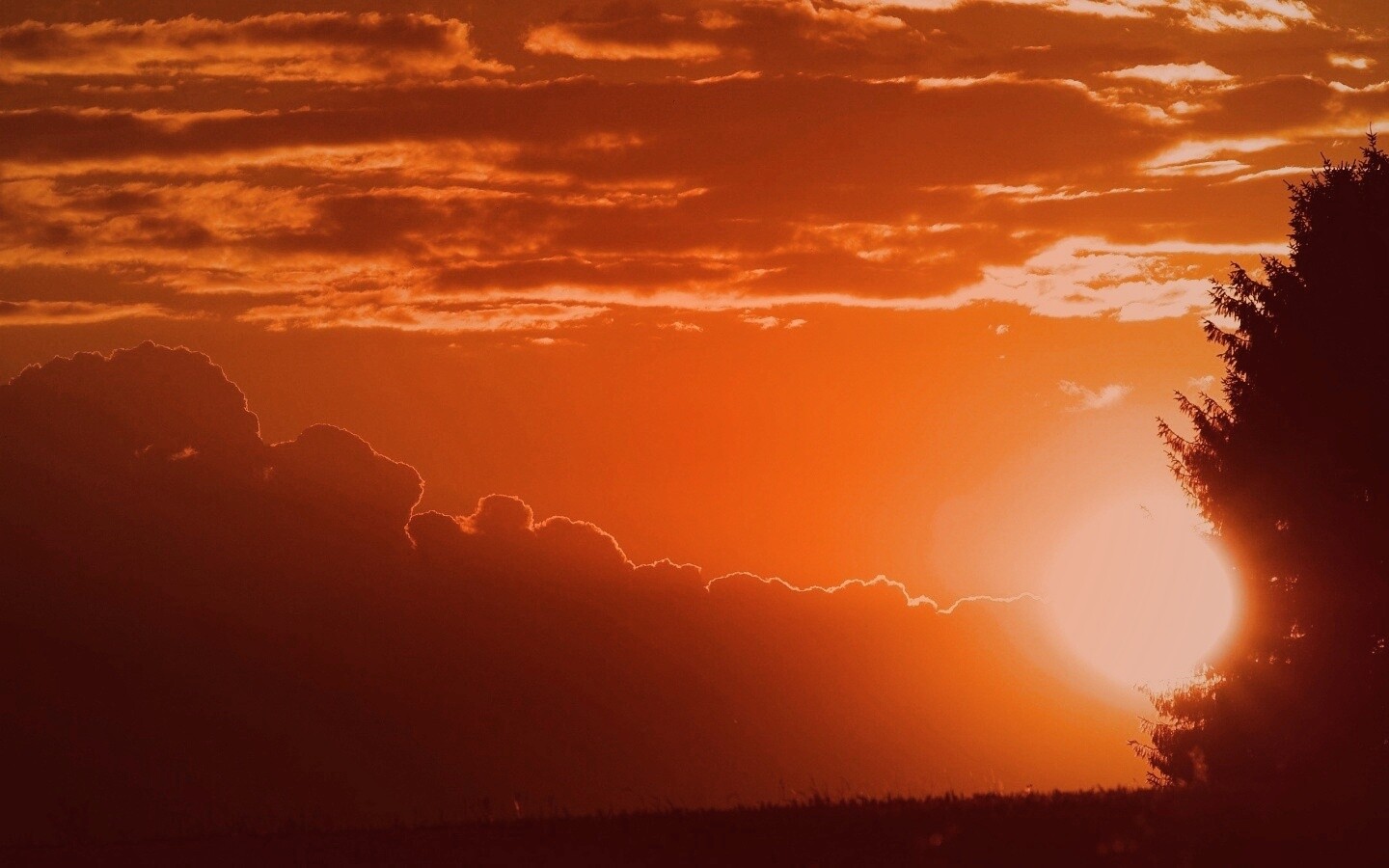 Теплый закат над полем обои