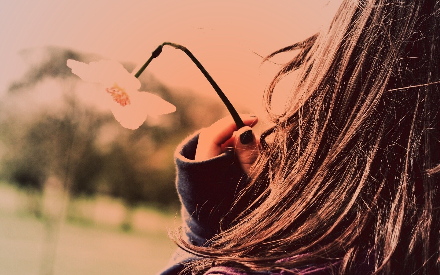 Девушка с нарциссом в руке обои