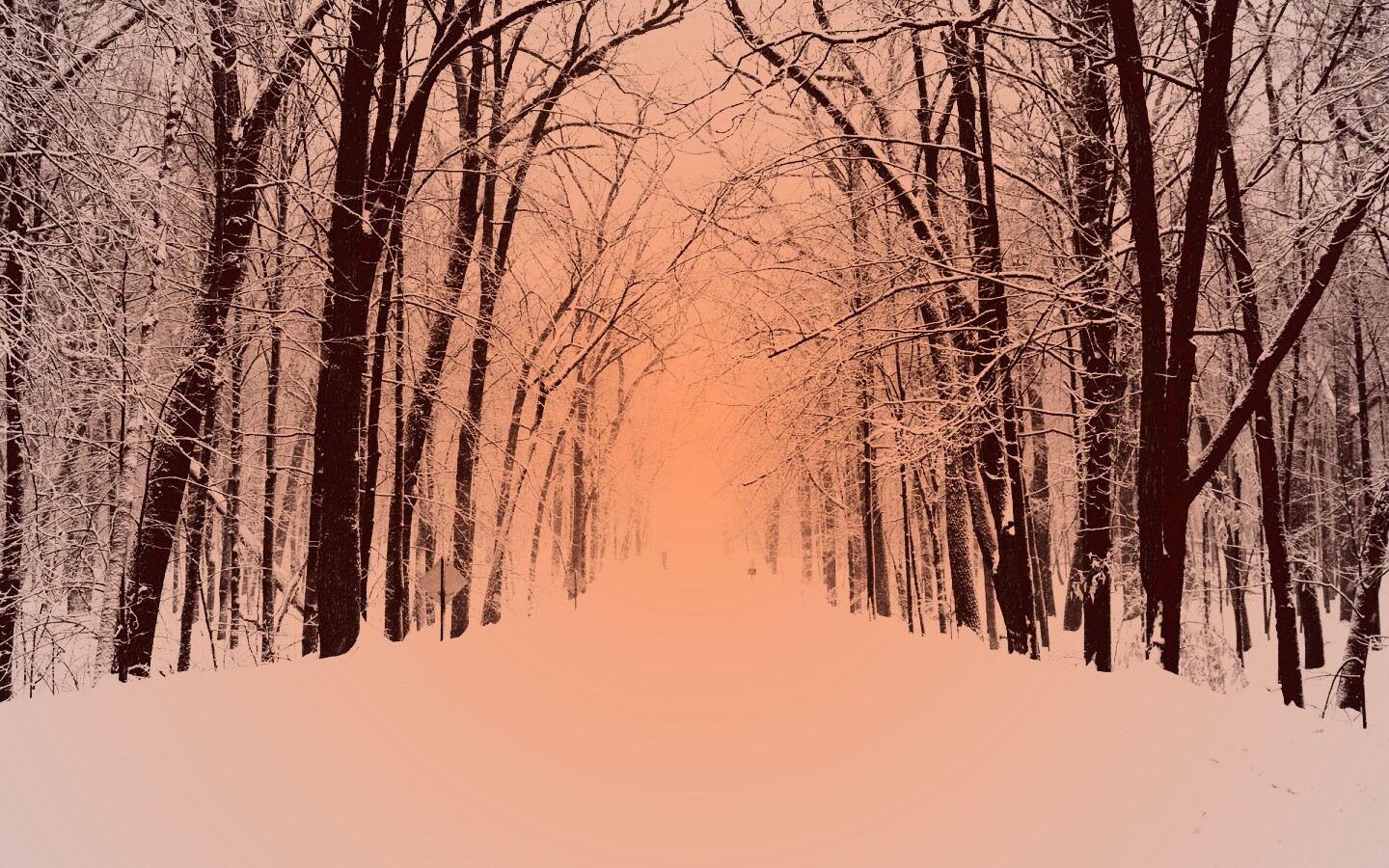 Дорога зимой в парке обои