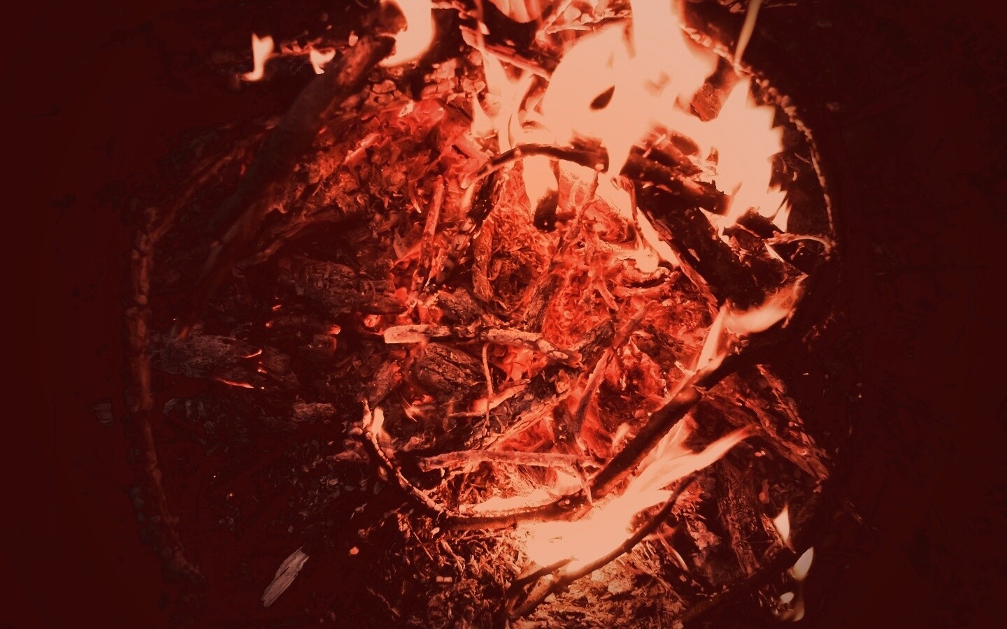 Костёр крупным планом обои