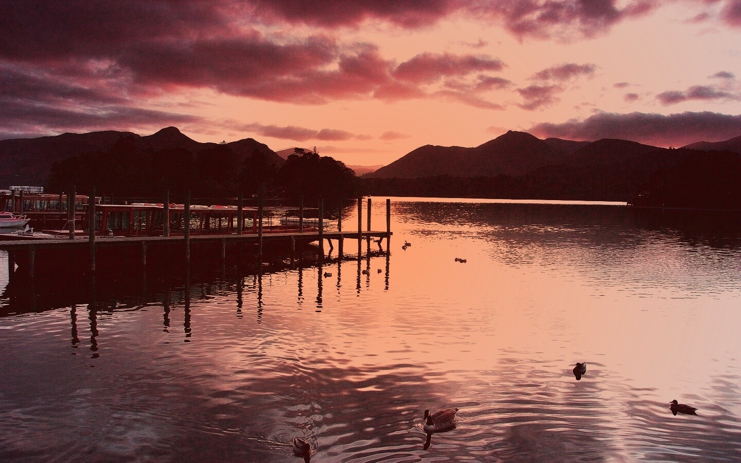 Причал на озере и утки обои