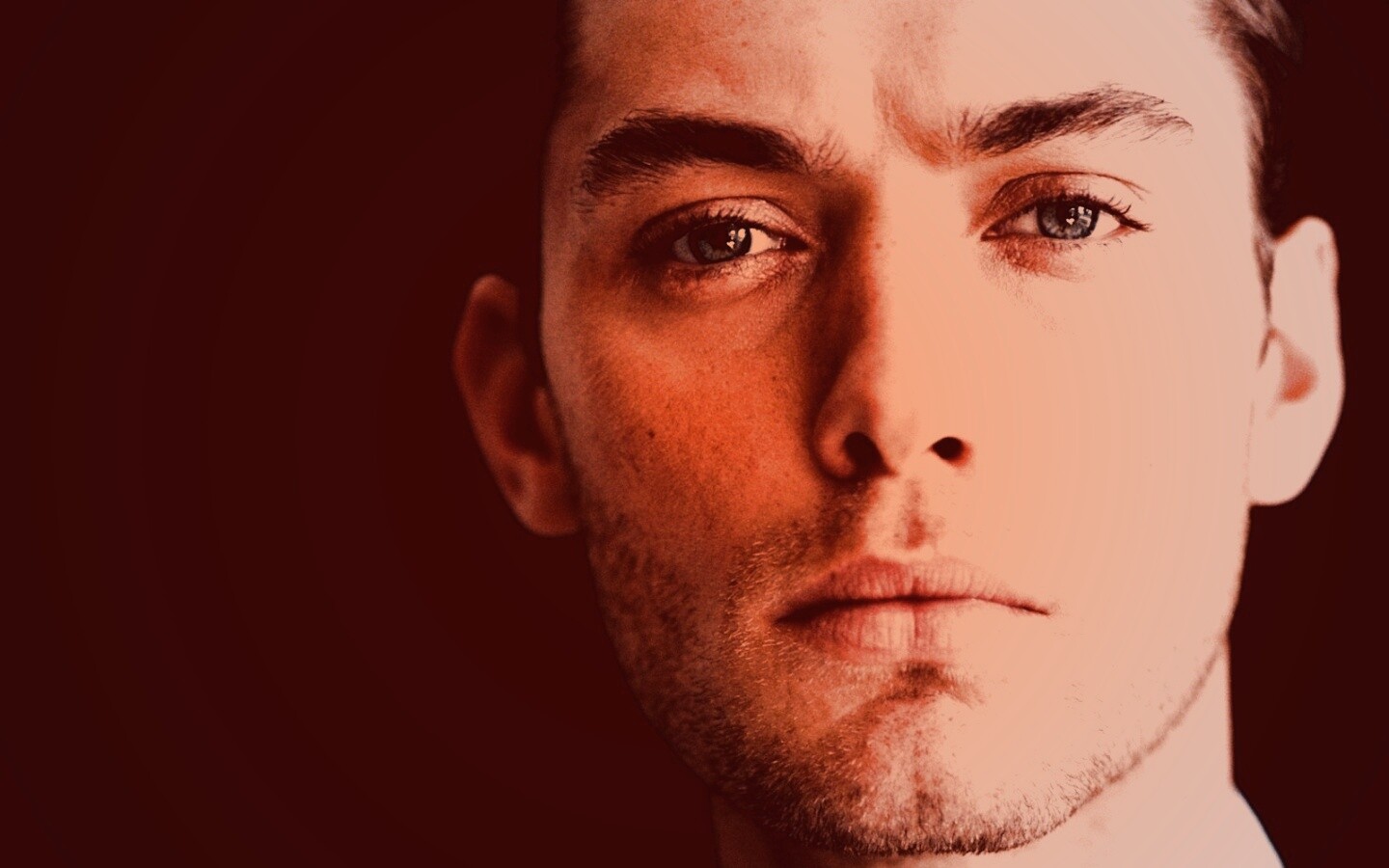 Актёр Джуд Лоу обои