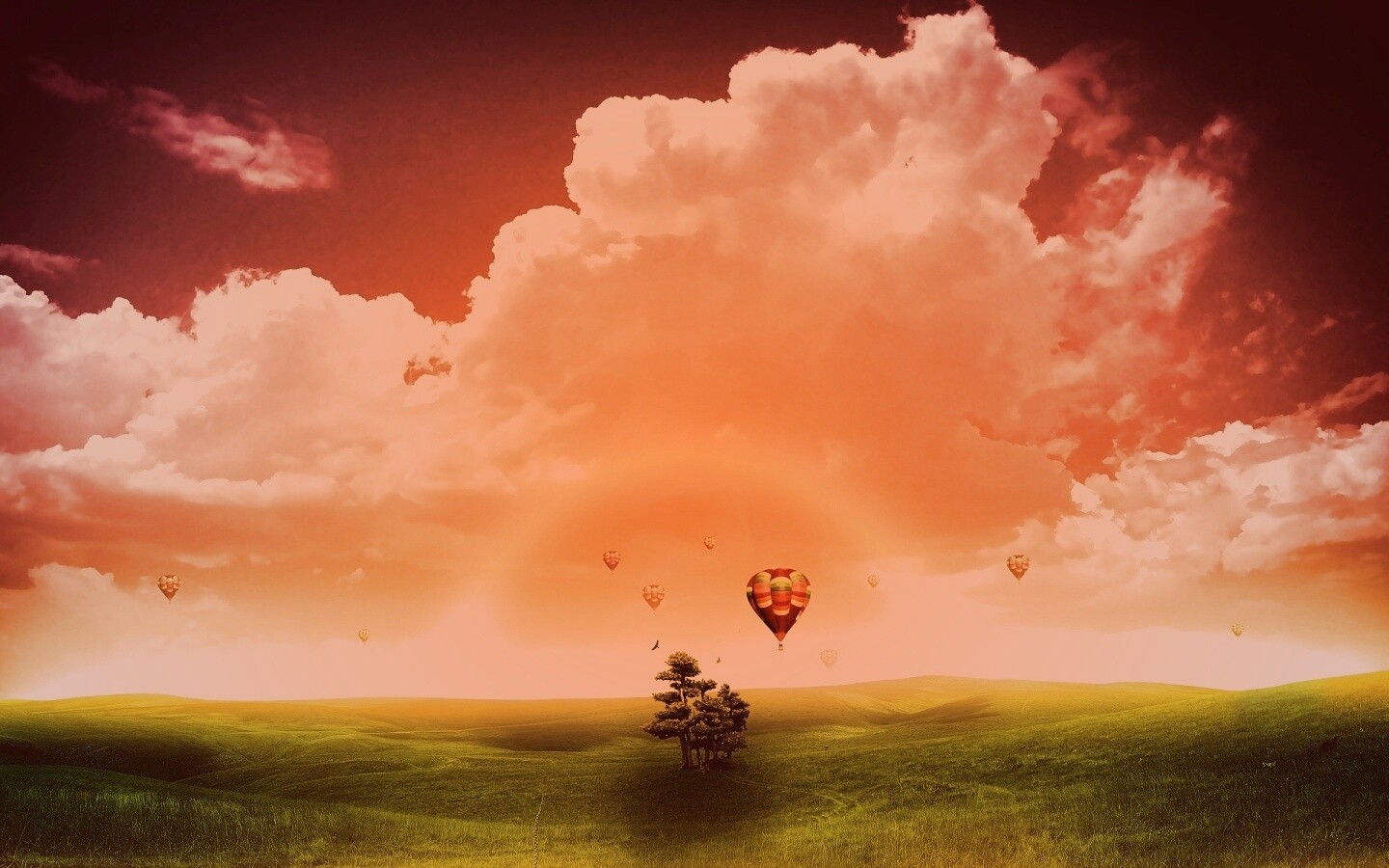 Мечты о полёте обои