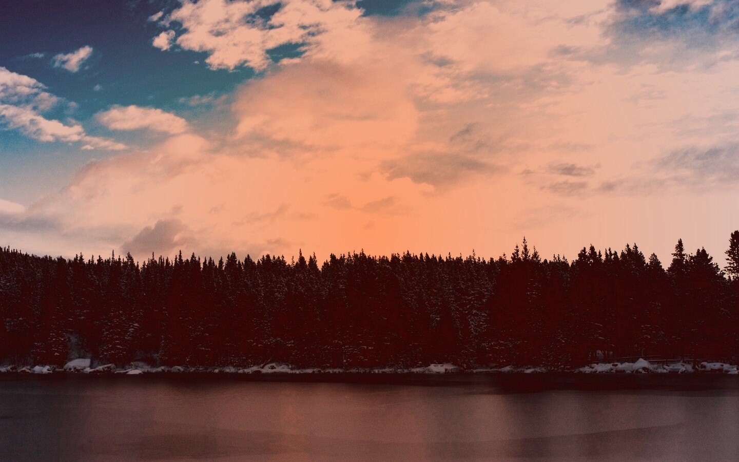 Лес на озере обои