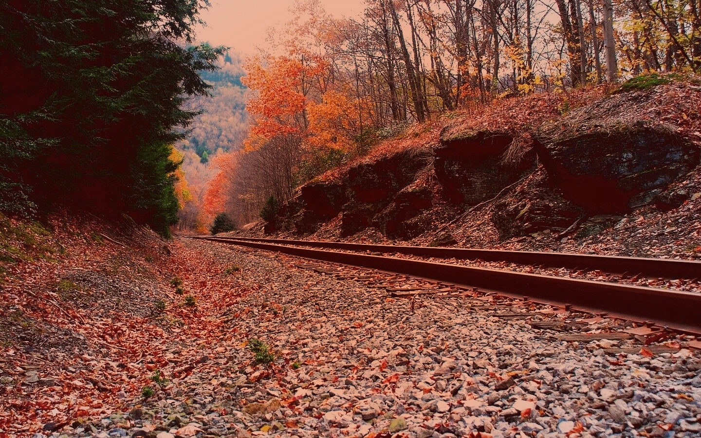 Железная дорога в скалистой местности обои