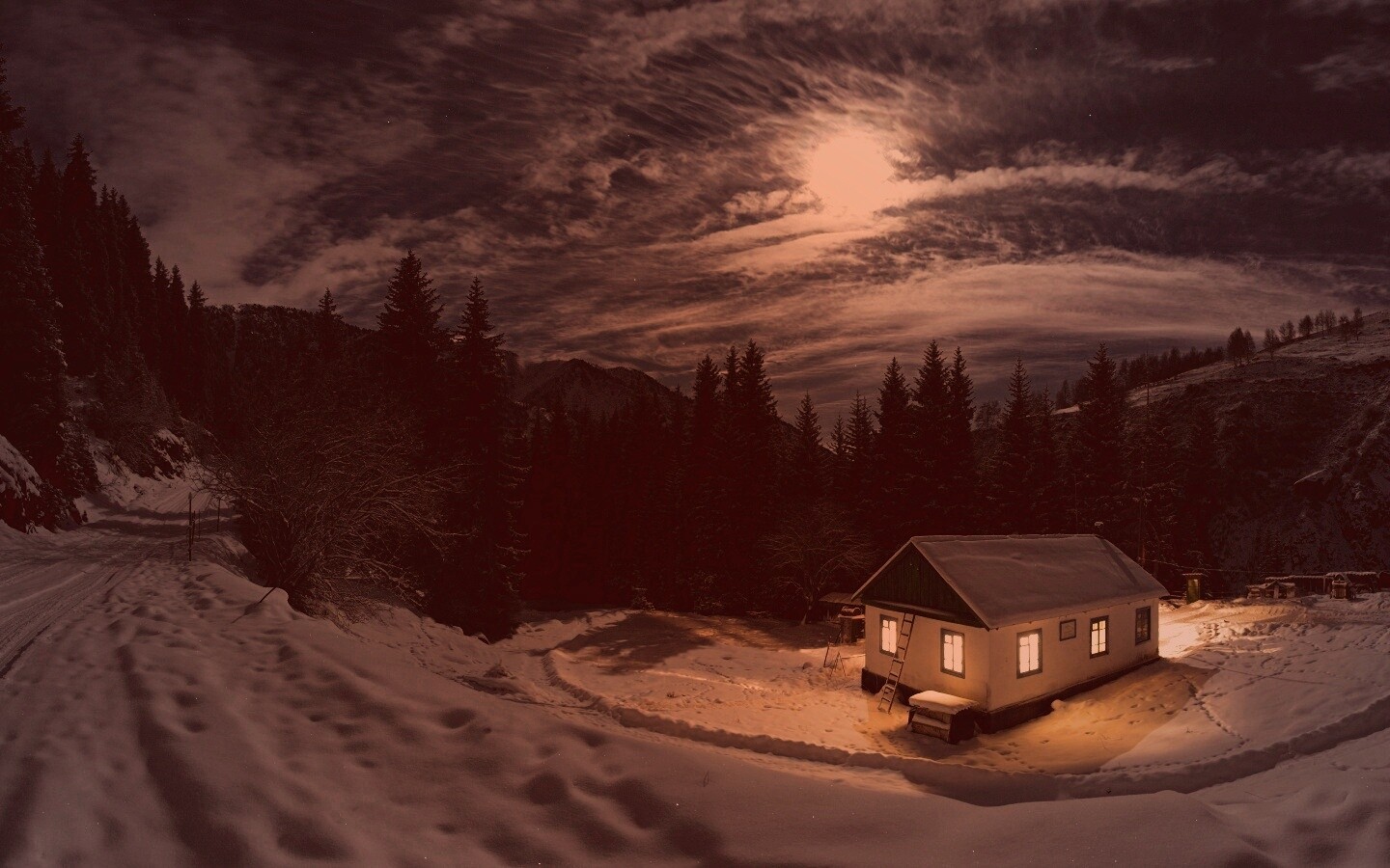 Один в зимнем лесу обои